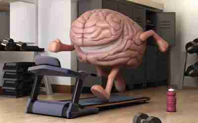 Neurociencia para mejorar el entrenamiento deportivo.